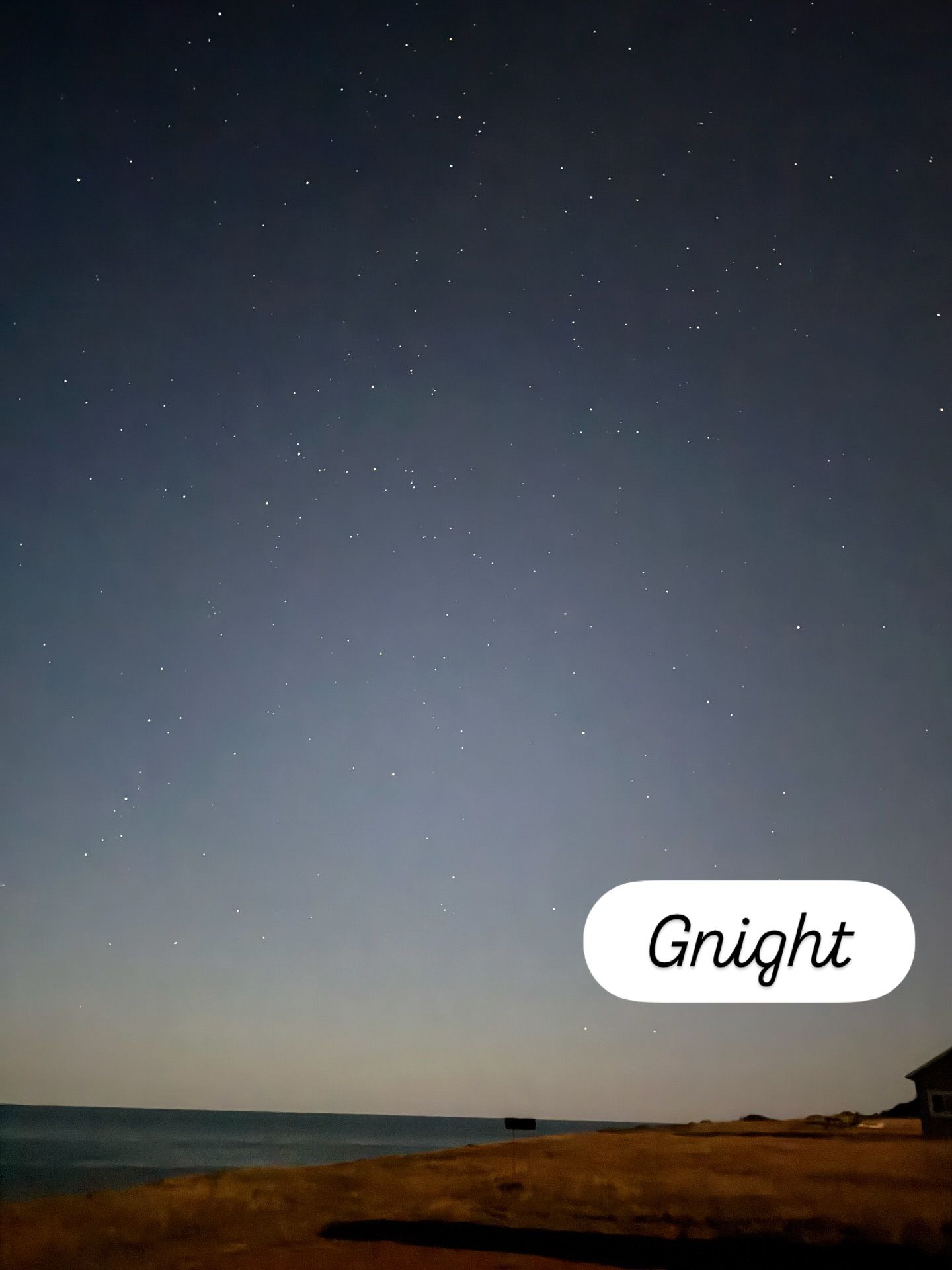 Starry night sky above a calm beach and ocean at dusk.