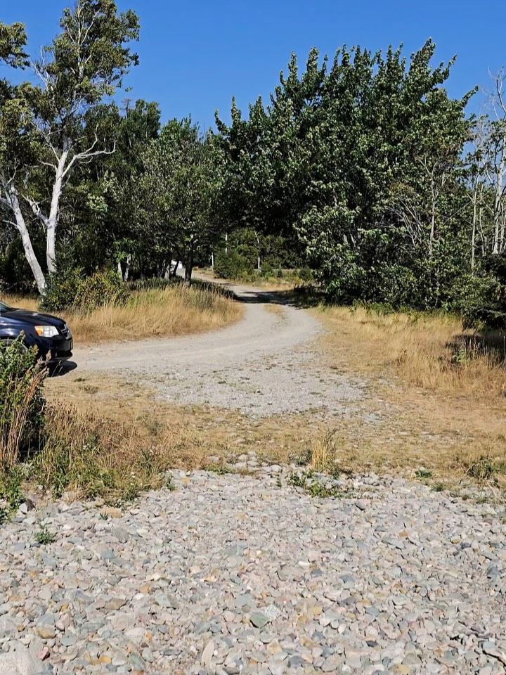 Gravel road curves through forest with blue SUV parked on left side.