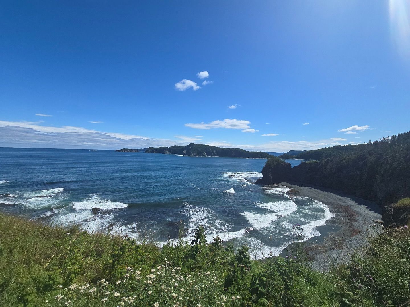 Rocky Newfoundland coastline with cliffs, ocean waves, and dark forest.