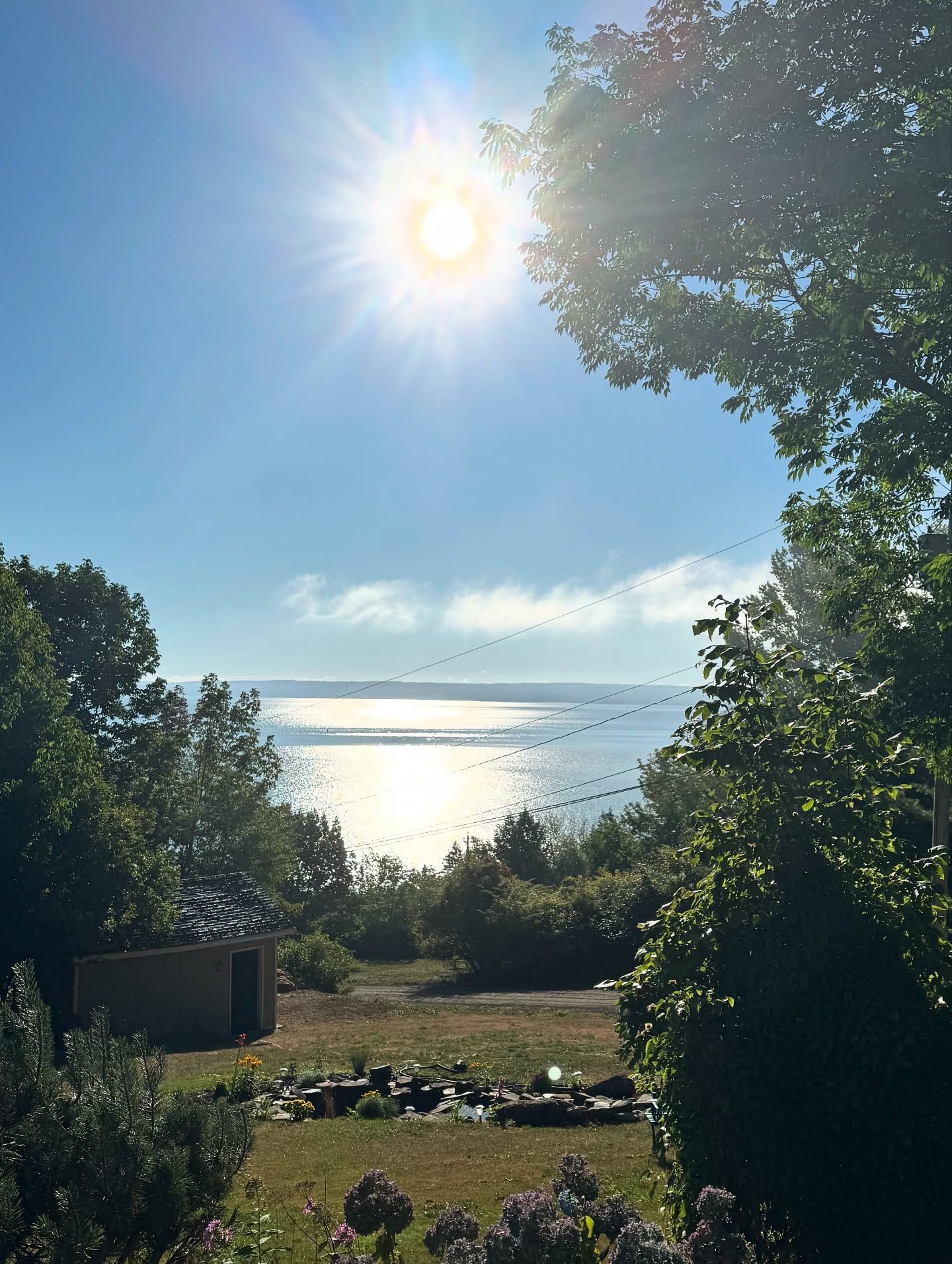Cabin and green yard overlook a sunny bay with forested shoreline.
