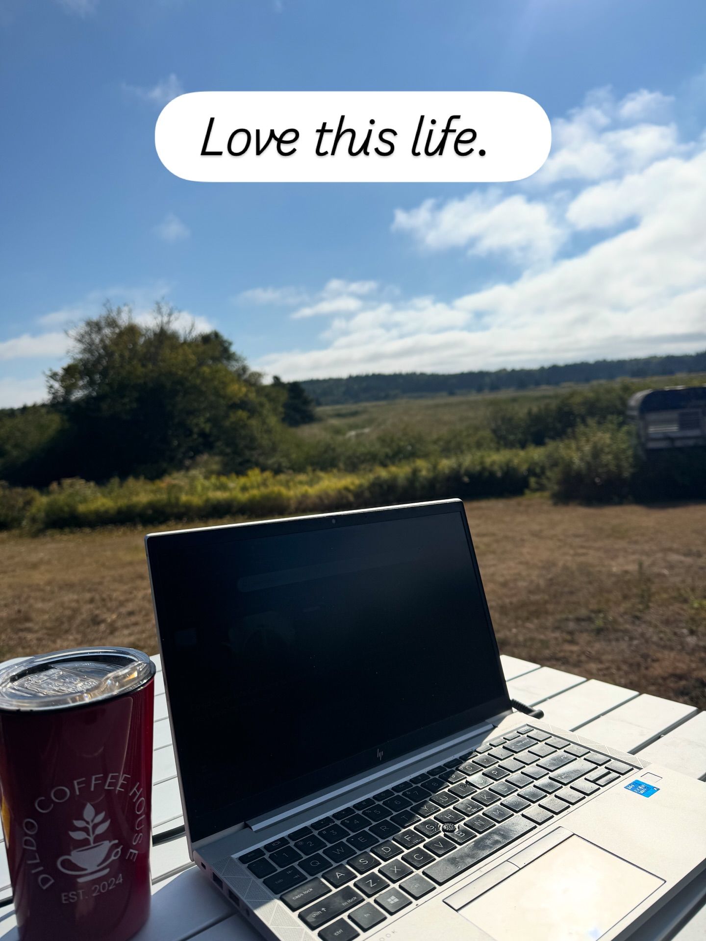 Laptop and coffee cup on table overlooking rural landscape and trees.