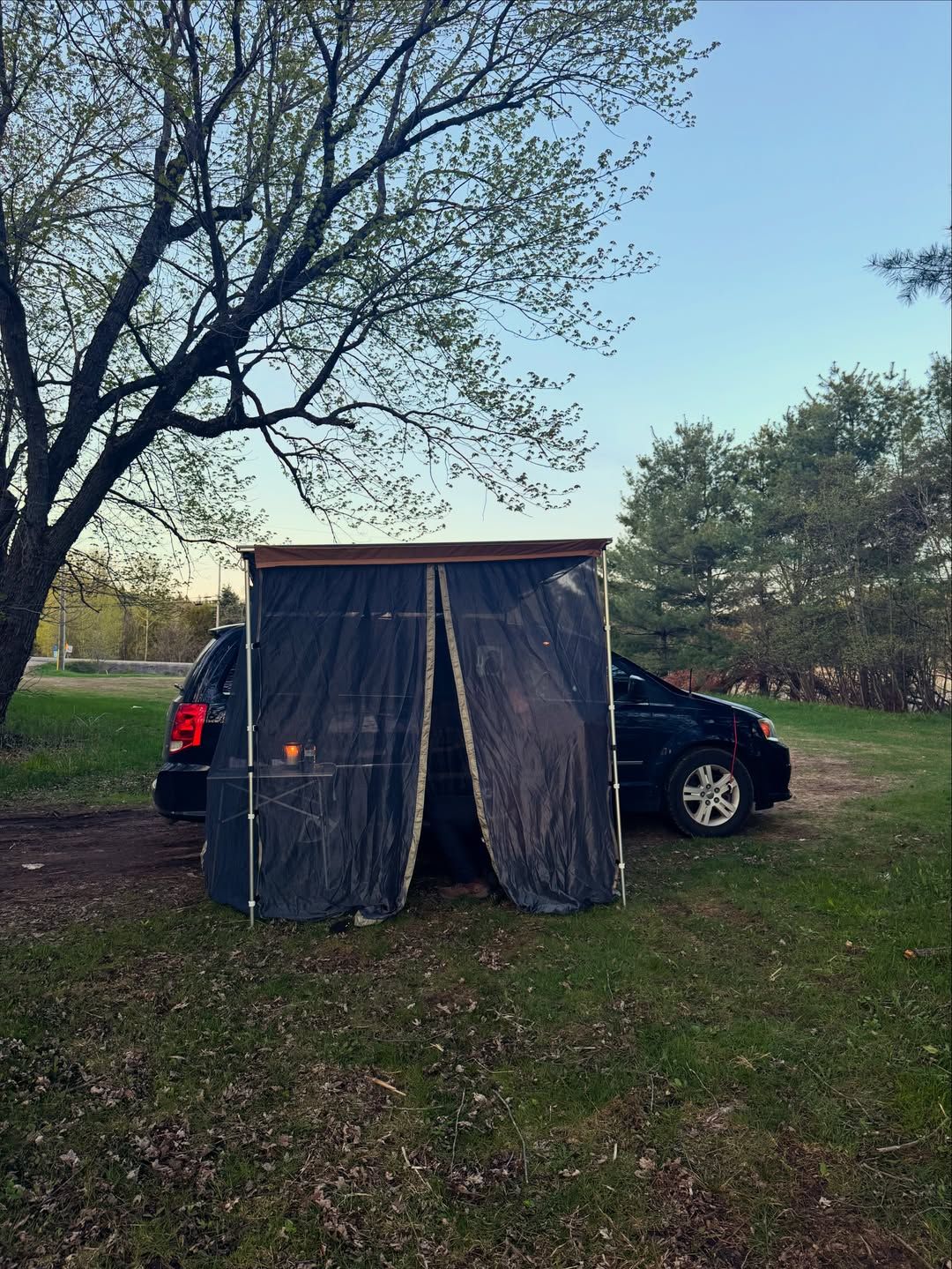 A black van parks beneath a sprawling tree in a grassy campsite.