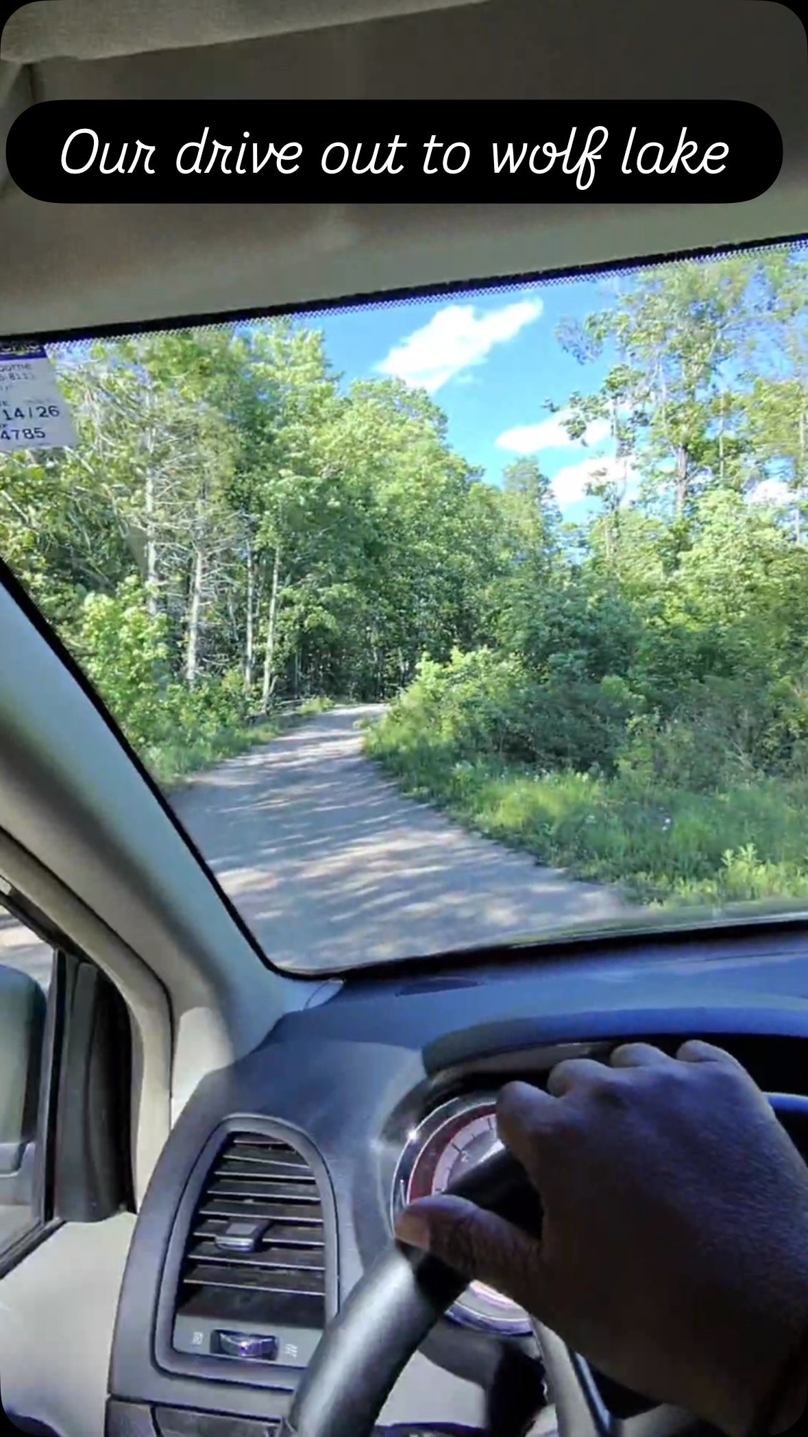 Steering wheel and van interior view through windshield of tree-lined forest road ahead.