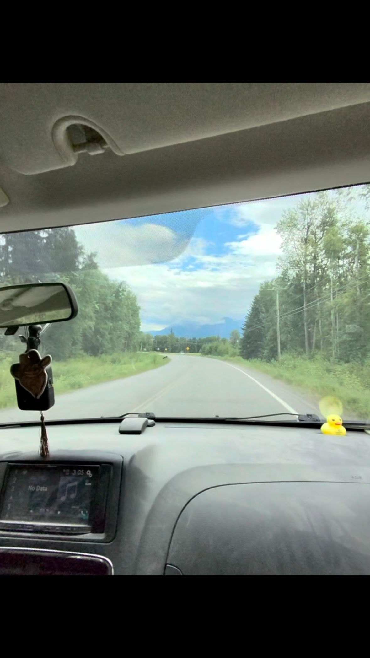 Van dashboard and highway view with forest trees and blue sky ahead.