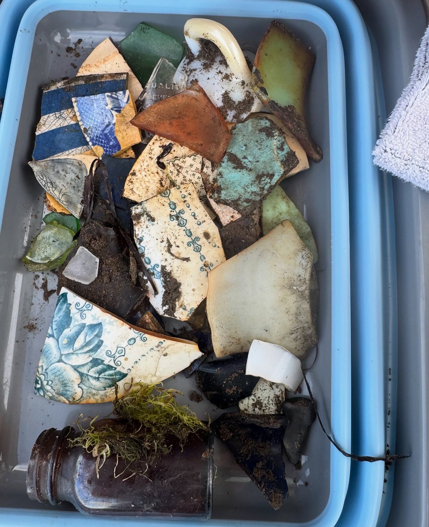 Colorful pottery shards and seashell fragments collected in a blue plastic bin.