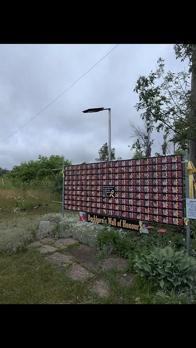 Maroon memorial sign reading Buckhorn's Wall of Honour stands in overgrown grass field.