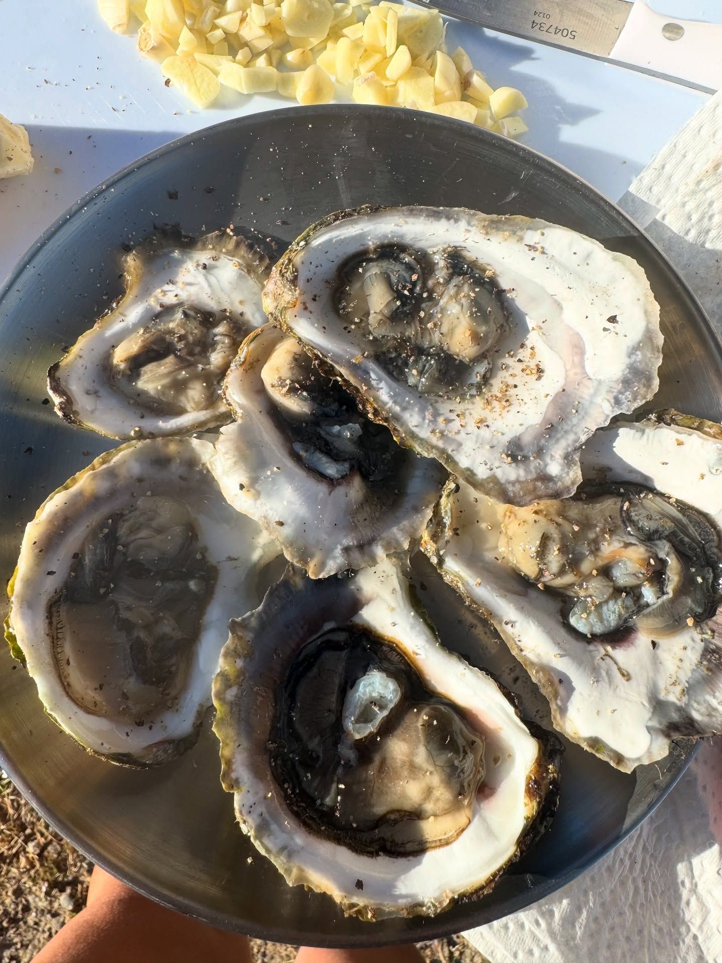 Fresh oysters in dark bowl with chips and sauce on table beside.