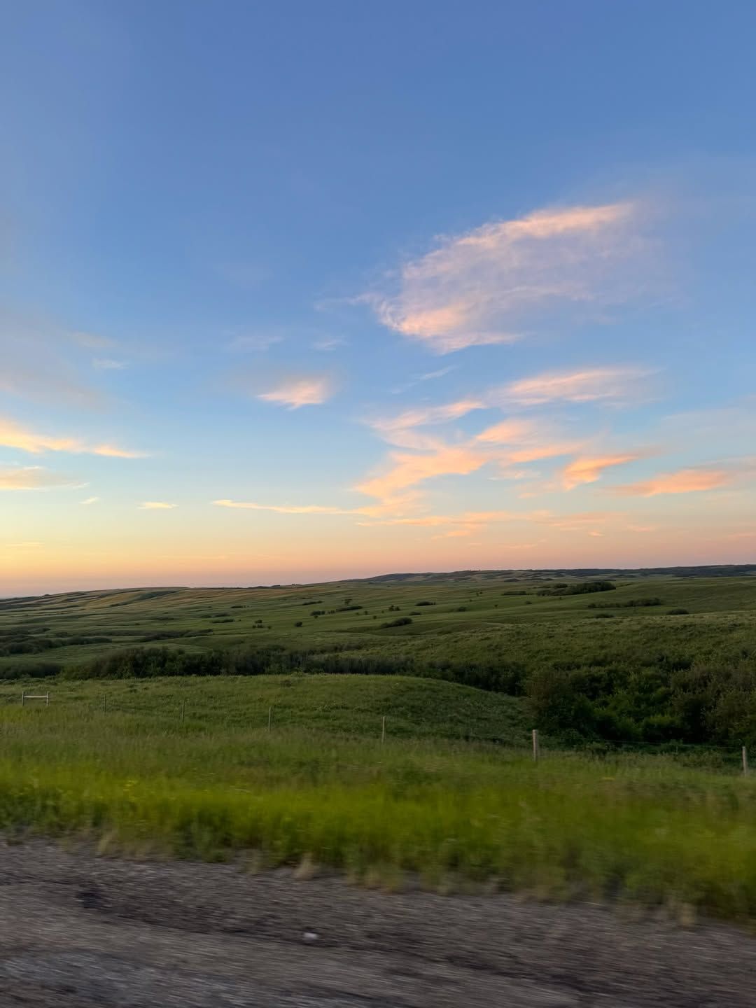 Rolling green hills at sunset with fence posts and scattered trees.