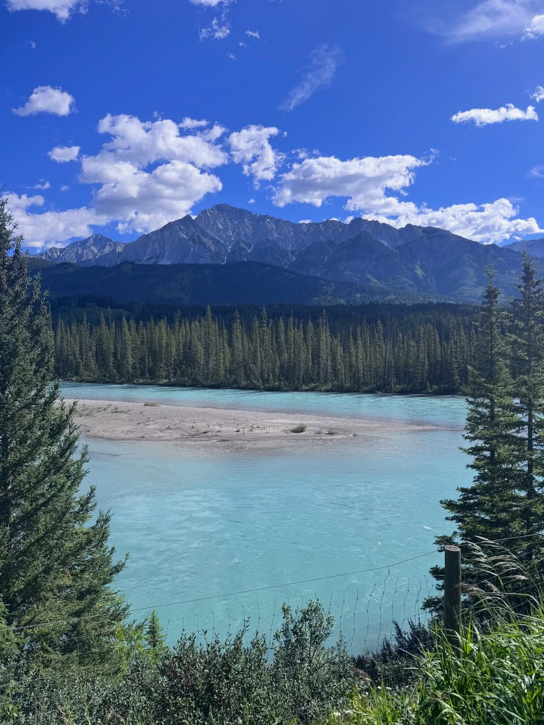 Turquoise glacier lake framed by evergreen forest and snow-capped mountains.