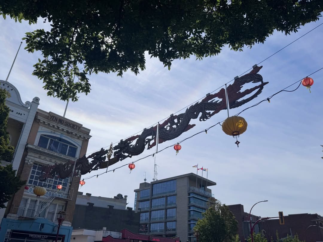 Decorative lanterns hanging over street with historic building and shopfronts.